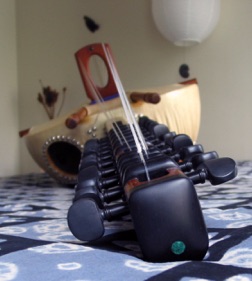 The Kora